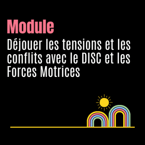 Déjouer les tensions et les conflits avec le DISC et les Forces Motrices