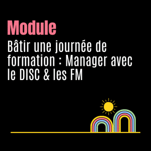Bâtir une journée de formation : Manager avec le DISC & les FM